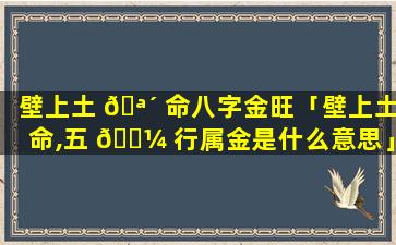 壁上土 🪴 命八字金旺「壁上土命,五 🌼 行属金是什么意思」